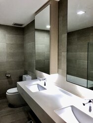 Palm Spring (D10), Condominium #450423781